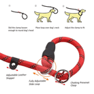 Reflecterende Riem - Sliplijn 180cm - Duke & Scoop