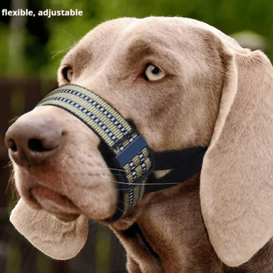 Reflecterende Tactische Muilkorf - Duke & Scoop