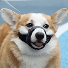 Reflecterende Tactische Muilkorf - Duke & Scoop