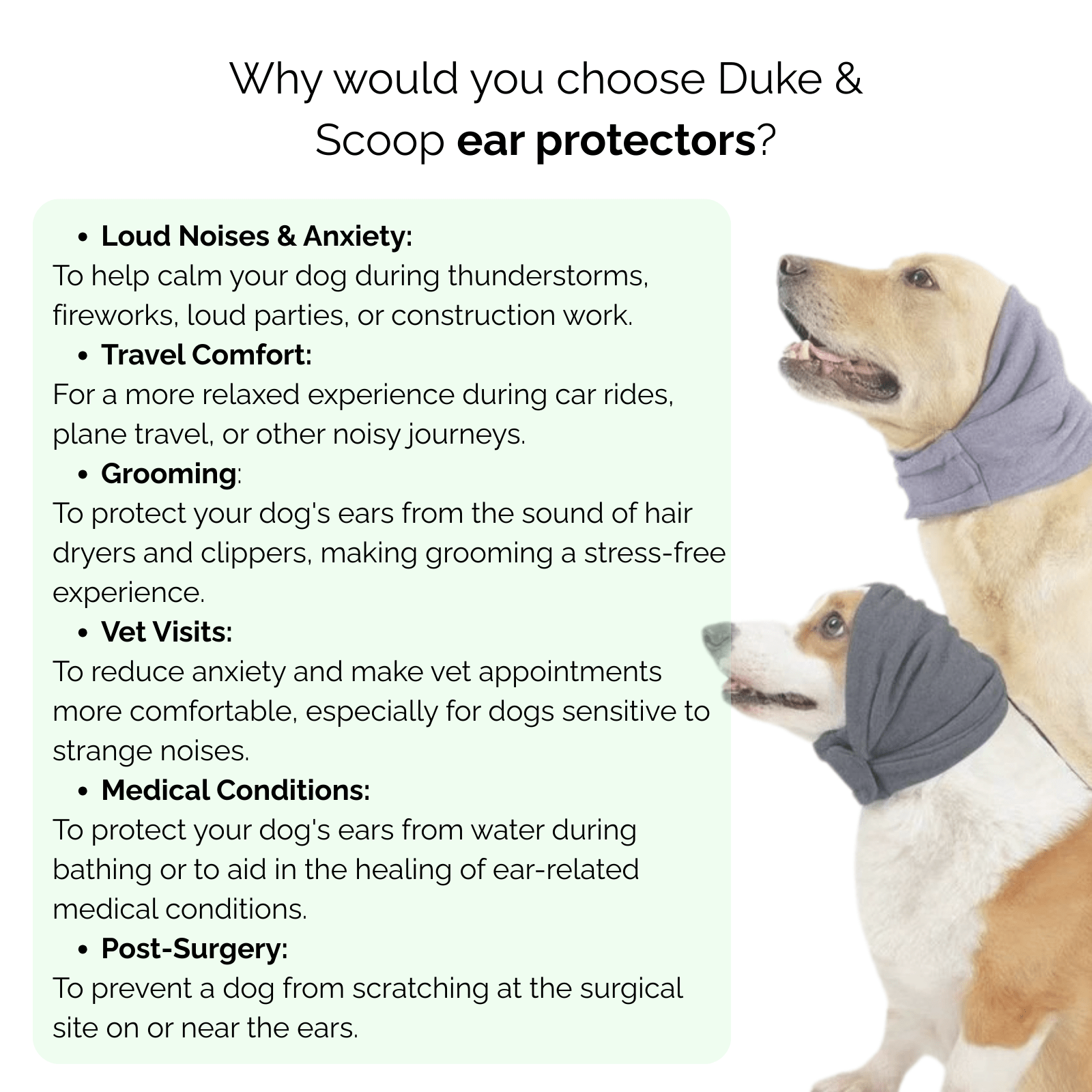 Rustgevende Hond Oorbeschermers – Anti - Stress & Dondercap - Duke & Scoop