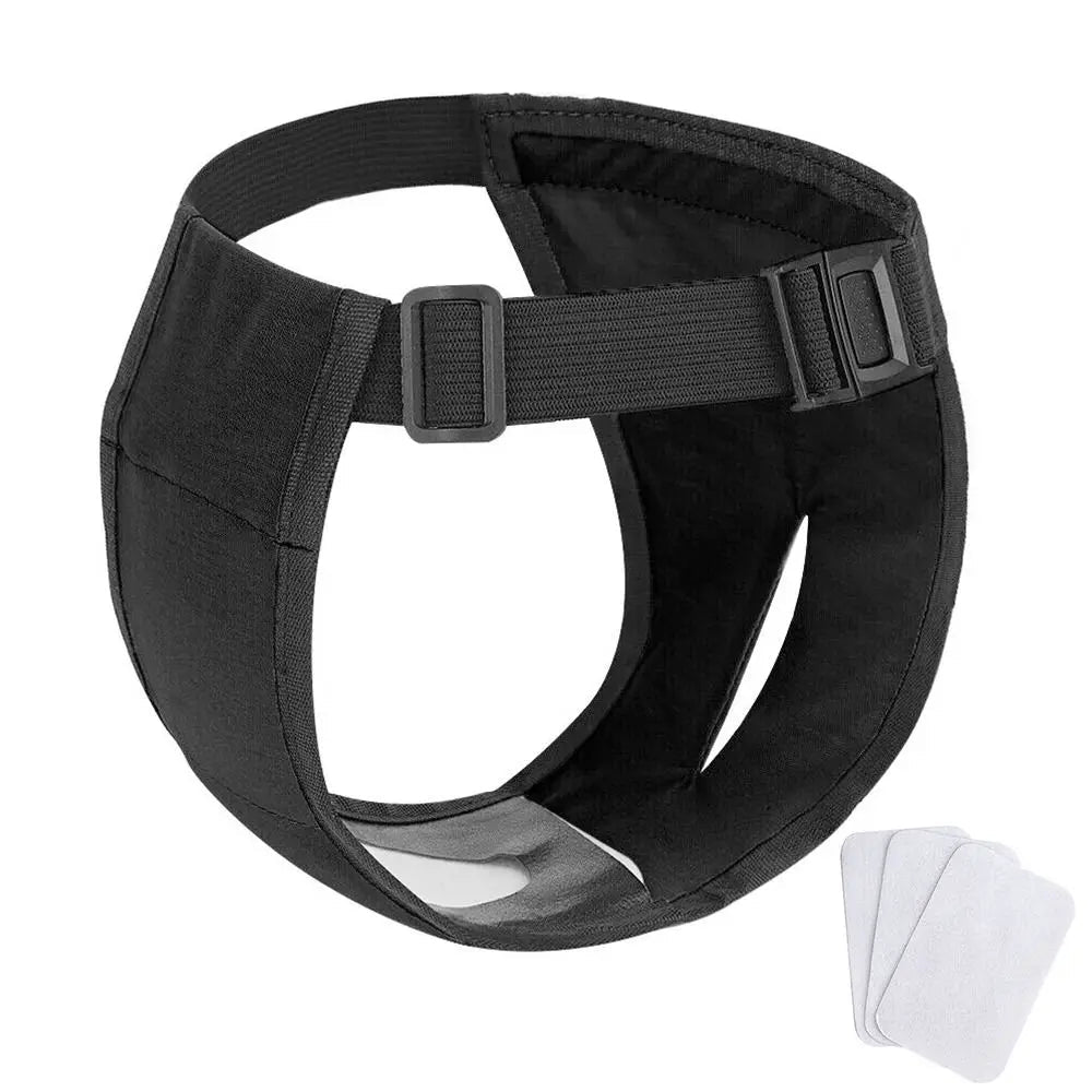 Sanitaire Hondenbroek met Inlegluier - Duke & Scoop