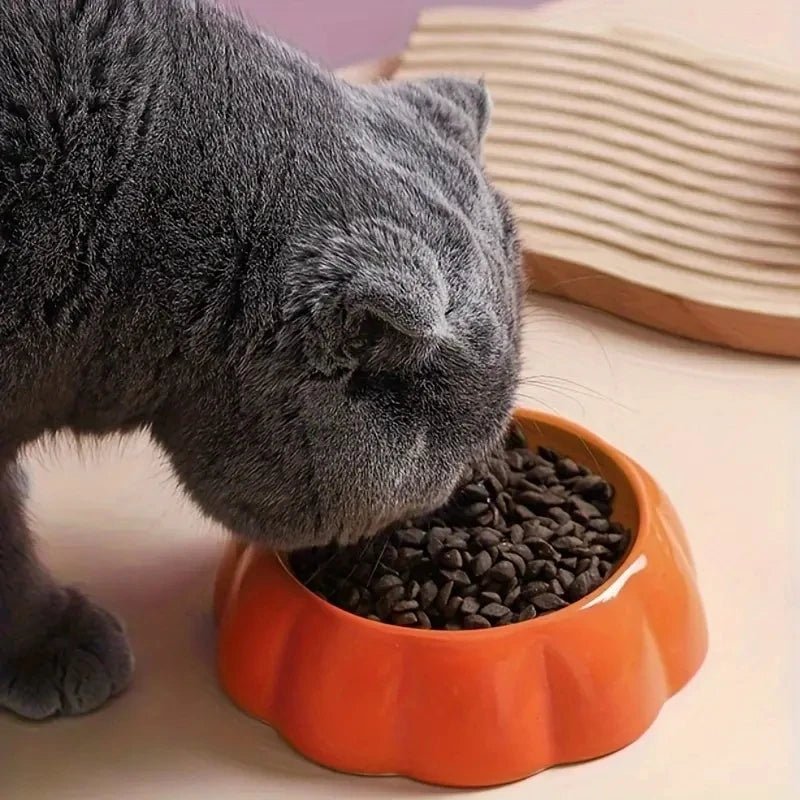 Schattige Keramische Voerbakken voor Kat en Hond - Duke & Scoop