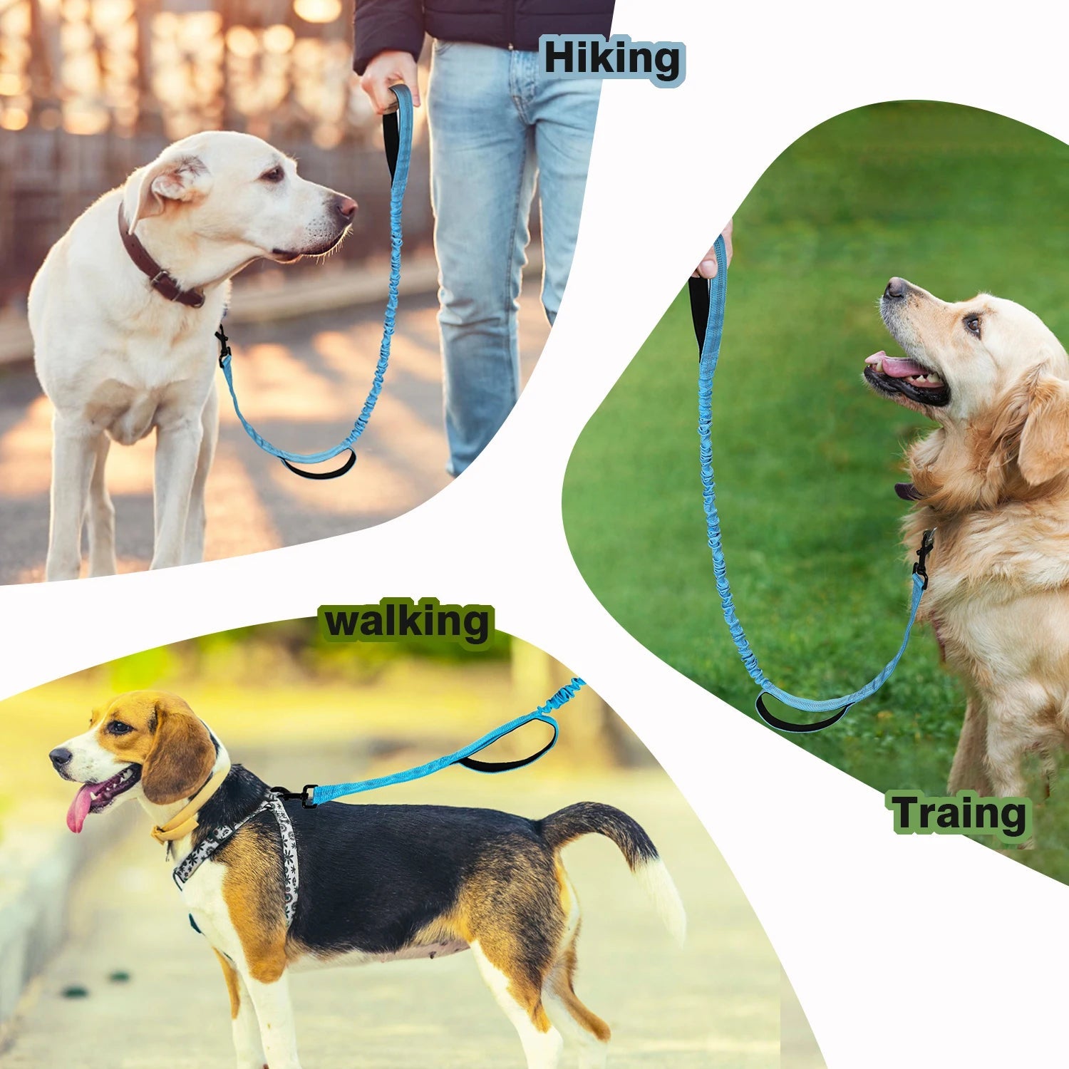 Schokabsorberende Lijn - Anti Trekken - Duke & Scoop