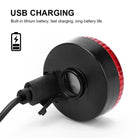 ShinePet LED Halsbandhanger Oplaadbaar - Duke & Scoop