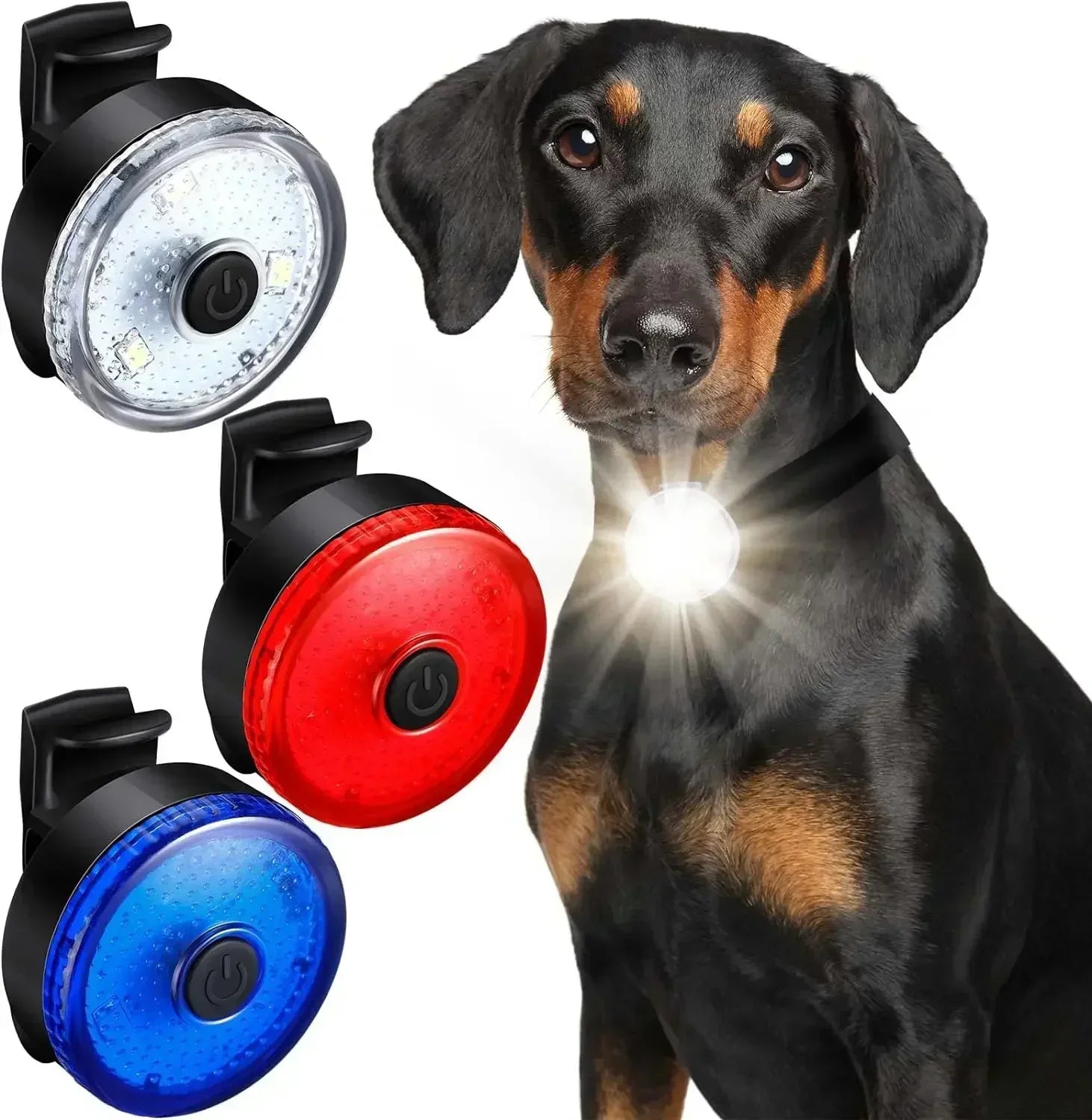 ShinePet LED Halsbandhanger Oplaadbaar - Duke & Scoop