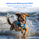 Slimme 4G GPS Tracker voor je Huisdier - Duke & Scoop