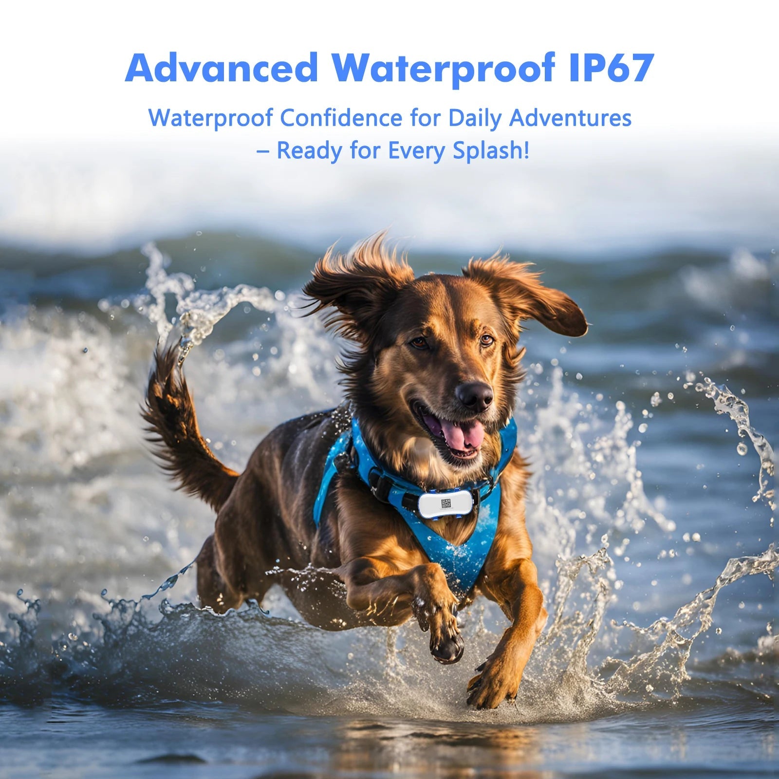 Slimme 4G GPS Tracker voor je Huisdier - Duke & Scoop