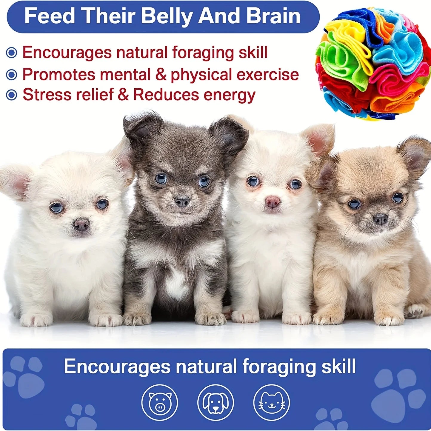 Snuffelbal – Interactief Puzzelspeelgoed - Duke & Scoop