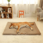 SnuggleRest Orthopedisch Hondenkussen - Duke & Scoop