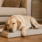 SnuggleRest Orthopedisch Hondenkussen - Duke & Scoop