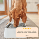 Splash Stop - Anti - Mors Drinkbak voor Honden & Katten - Duke & Scoop