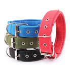 Sterke Nylon Hondenhalsband - Duke & Scoop