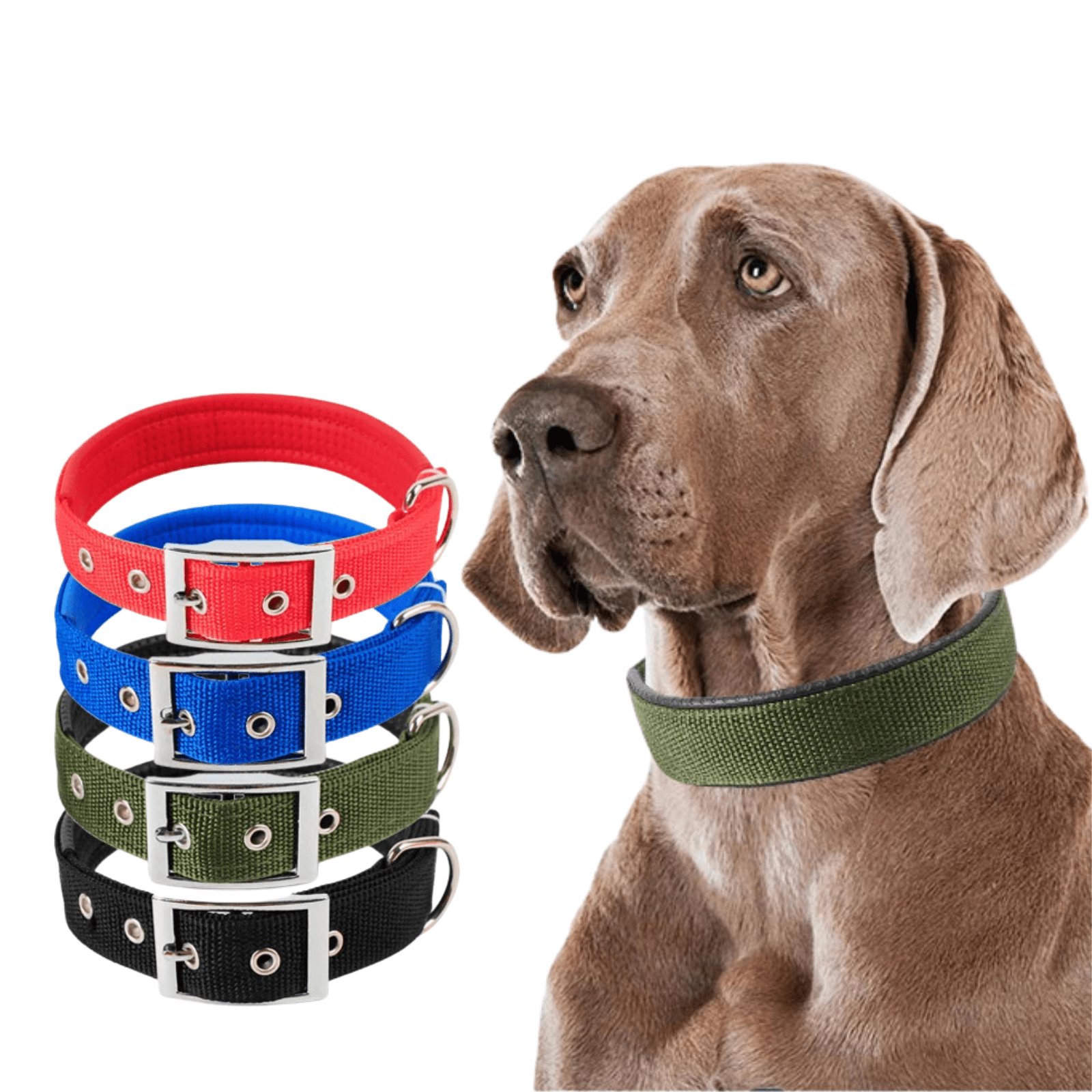 Sterke Nylon Hondenhalsband - Duke & Scoop