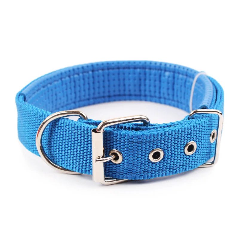 Sterke Nylon Hondenhalsband - Duke & Scoop