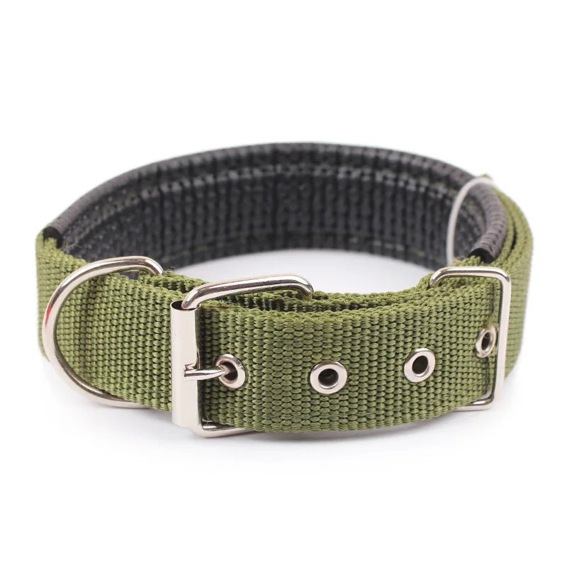 Sterke Nylon Hondenhalsband - Duke & Scoop