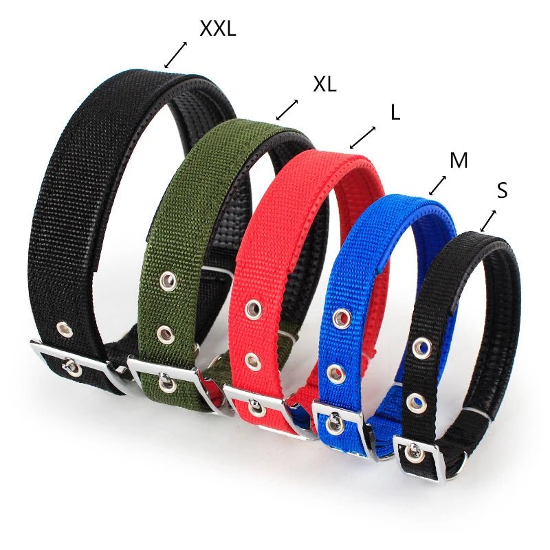 Sterke Nylon Hondenhalsband - Duke & Scoop