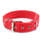 Sterke Nylon Hondenhalsband - Duke & Scoop
