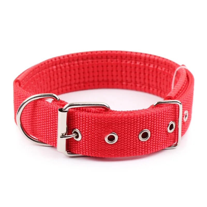 Sterke Nylon Hondenhalsband - Duke & Scoop