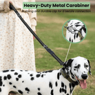 Sterke Reflecterende Hondenriem met Autogordel - Duke & Scoop