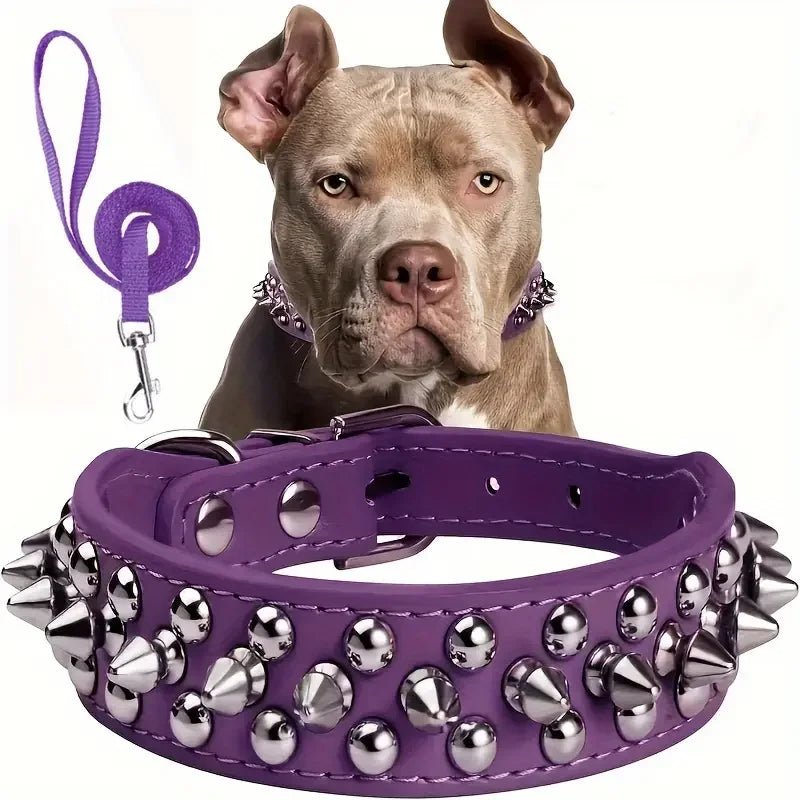 Stoere Leren Halsband met Spikes en Matching Riem - Duke & Scoop