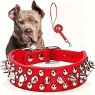 Stoere Leren Halsband met Spikes en Matching Riem - Duke & Scoop