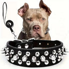 Stoere Leren Halsband met Spikes en Matching Riem - Duke & Scoop
