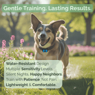 Stopbark - Anti Blafband met Trilling - Duke & Scoop