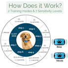 Stopbark - Anti Blafband met Trilling - Duke & Scoop