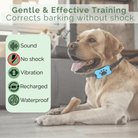 Stopbark - Anti Blafband met Trilling - Duke & Scoop