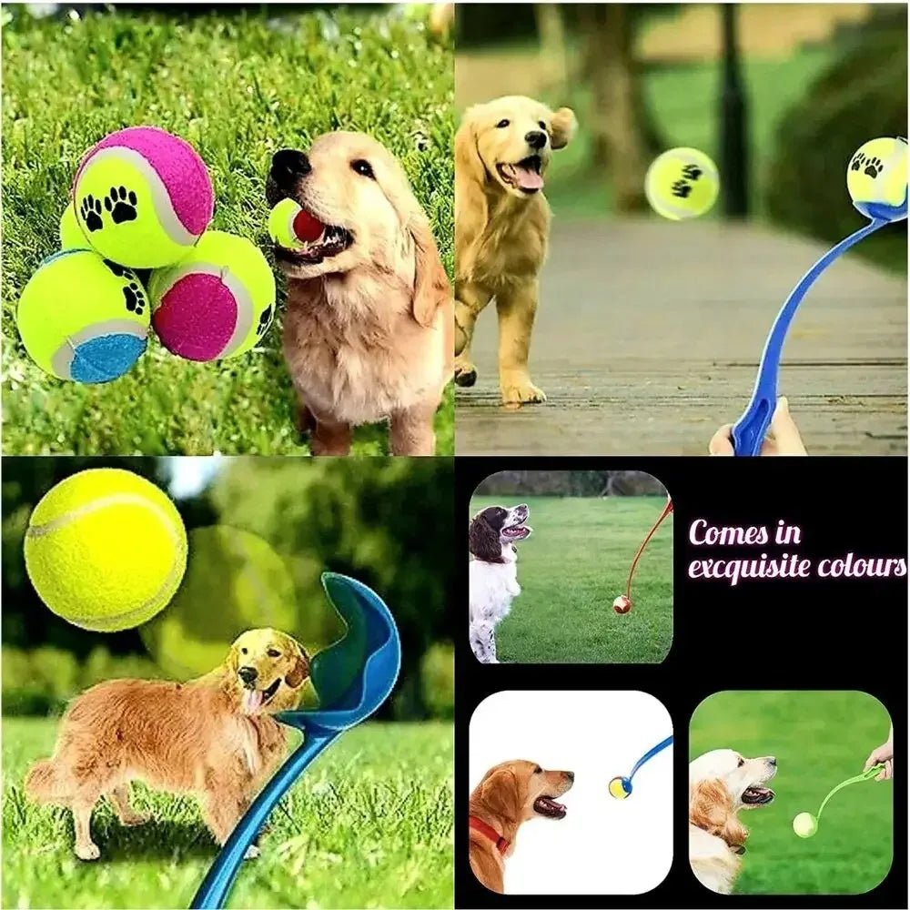 Tennisbal Launcher voor Honden - Duke & Scoop