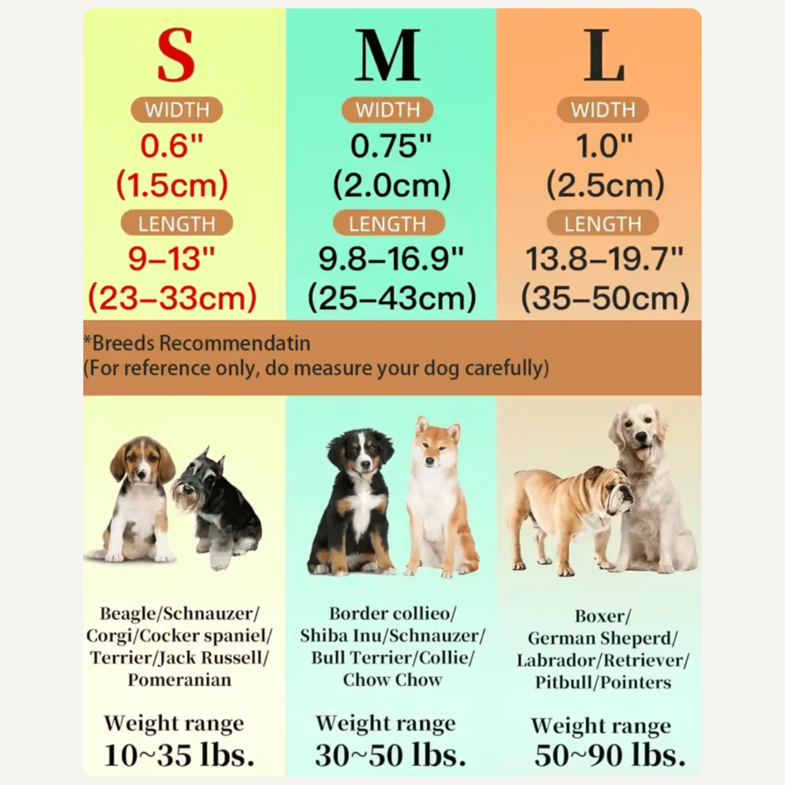 TraceTag iOS/Android en Halsband - Duke & Scoop