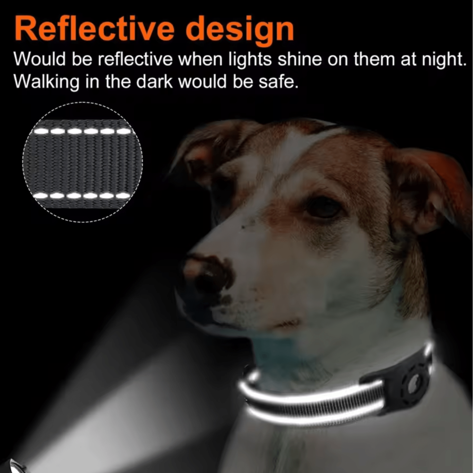 TraceTag iOS/Android en Halsband - Duke & Scoop