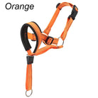 Training Muilkorf - Halti Stijl - Duke & Scoop