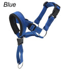 Training Muilkorf - Halti Stijl - Duke & Scoop