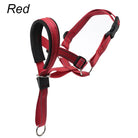 Training Muilkorf - Halti Stijl - Duke & Scoop