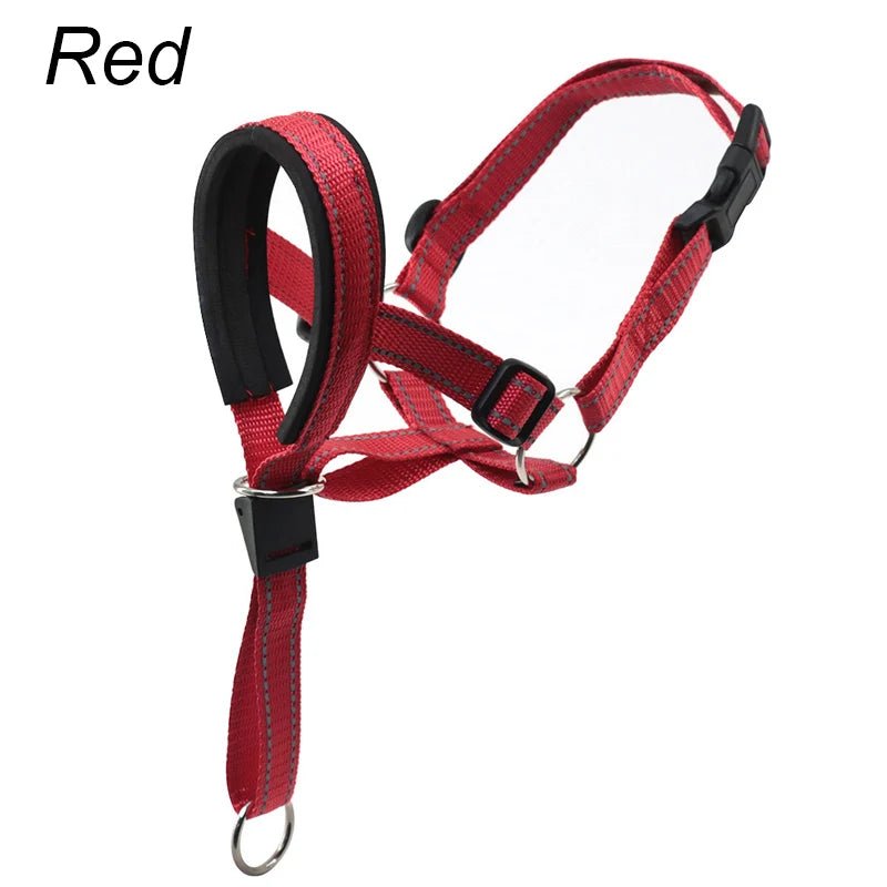 Training Muilkorf - Halti Stijl - Duke & Scoop