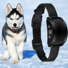 Trainings - Anti - Blaf Halsband - Duke & Scoop