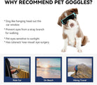 UV - Beschermende Dierenbril - Duke & Scoop