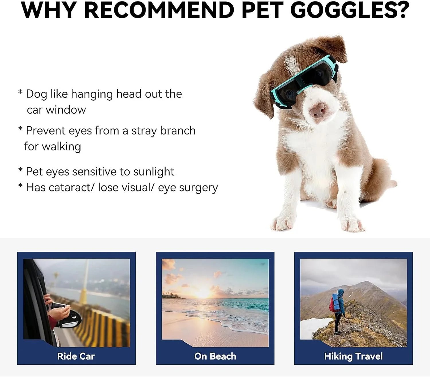 UV - Beschermende Dierenbril - Duke & Scoop