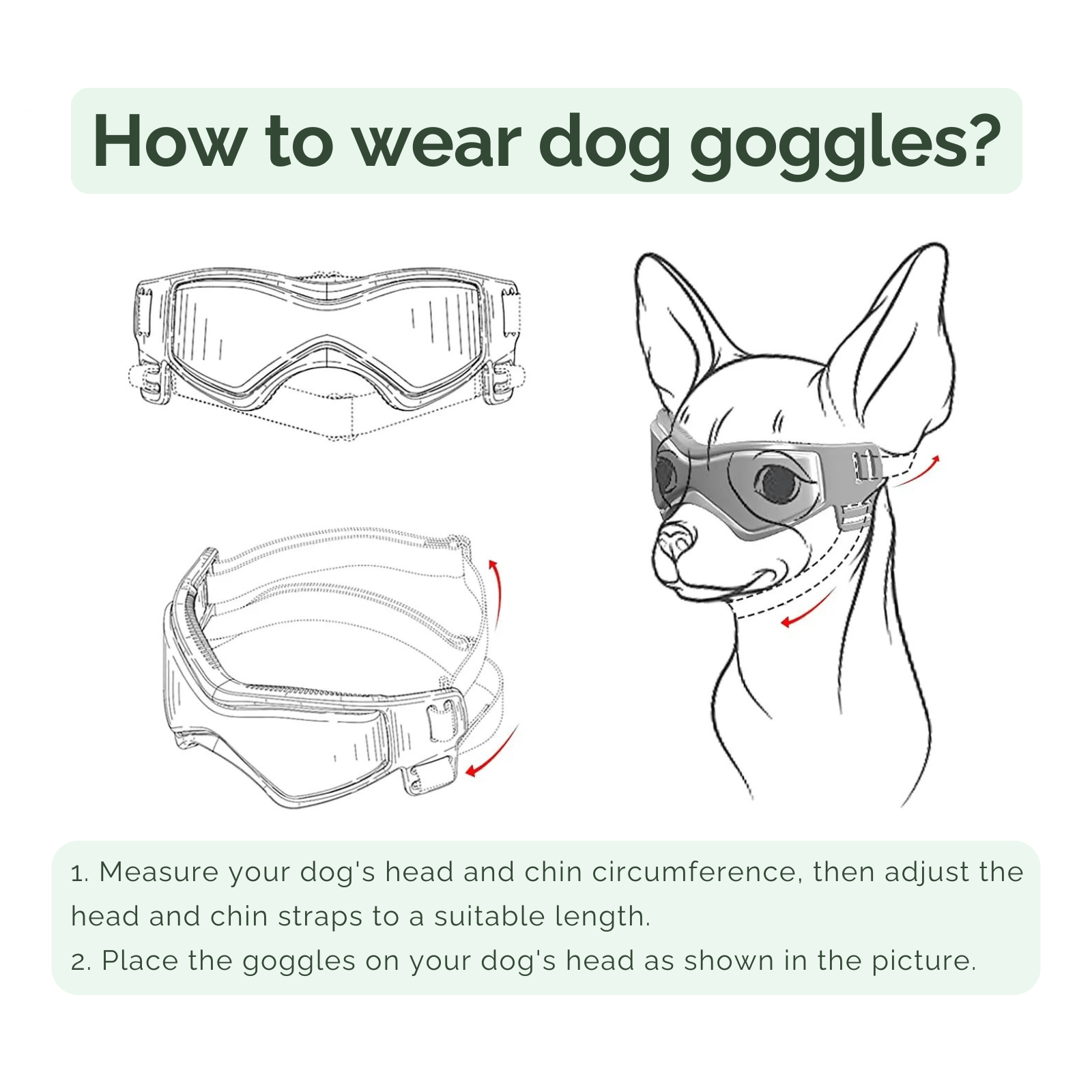 UV - beschermende Zonnebril voor Hond & Kat - Duke & Scoop