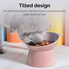 Verhoogde Voerbak met Oortjes - Duke & Scoop