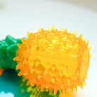 Verkoelend Kauwspeeltje voor Tandverzorging - Duke & Scoop