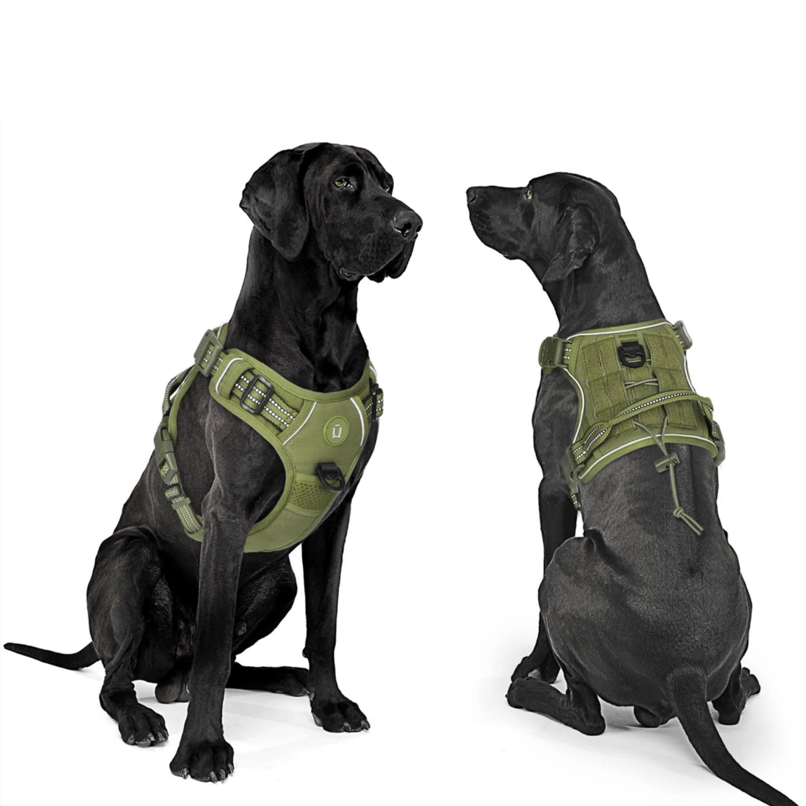 Verstelbaar Anti - Trek Tuig met MOLLE Systeem - Duke & Scoop