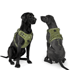 Verstelbaar Anti - Trek Tuig met MOLLE Systeem - Duke & Scoop