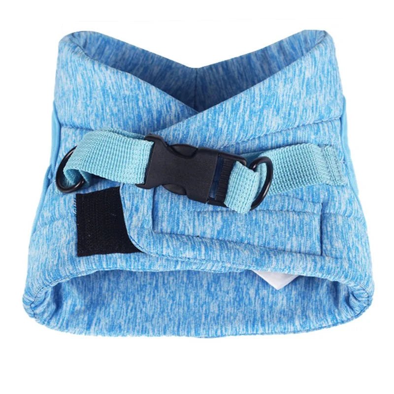 Verstelbaar Harnas & Riem Set - Duke & Scoop