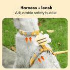 Verstelbaar Kattenharnas & Lijn Set - Duke & Scoop