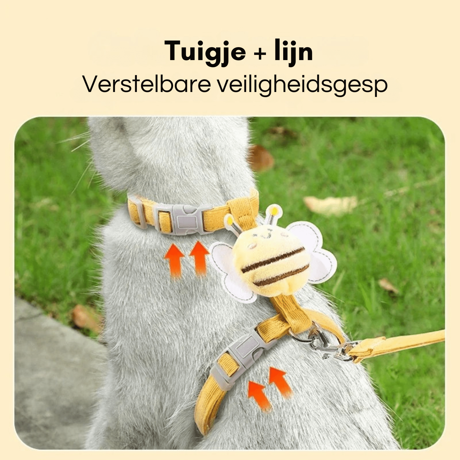 Verstelbaar Kattenharnas & Lijn Set - Duke & Scoop
