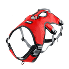 Verstelbaar Oxford Tuig - Duke & Scoop