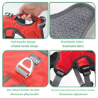 Verstelbaar Oxford Tuig - Duke & Scoop