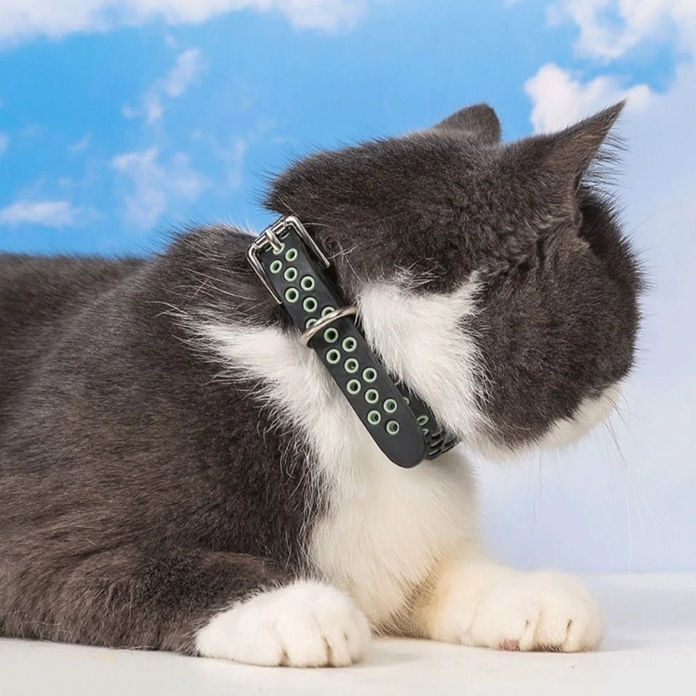 Verstelbare Anti - Vlooien Band - Duke & Scoop